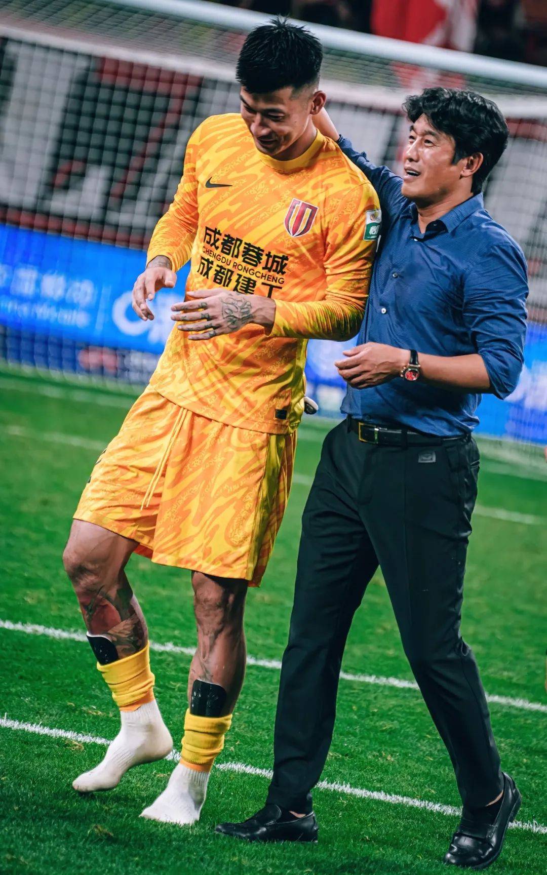 体系和更为 体系和更为