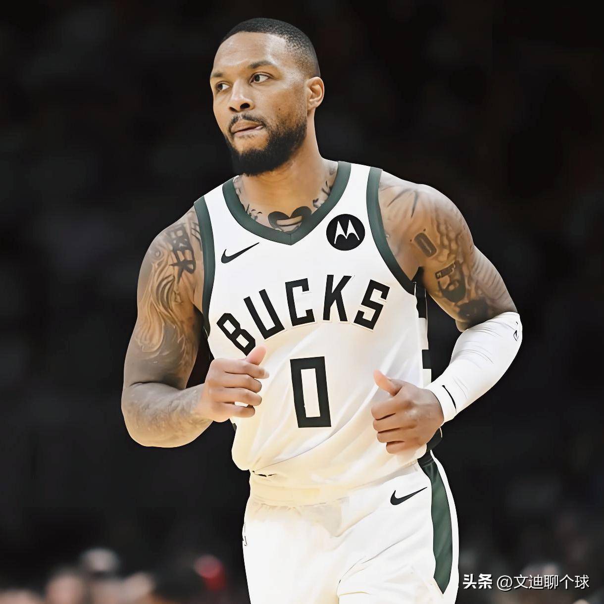 的观赏性和 的观赏性和